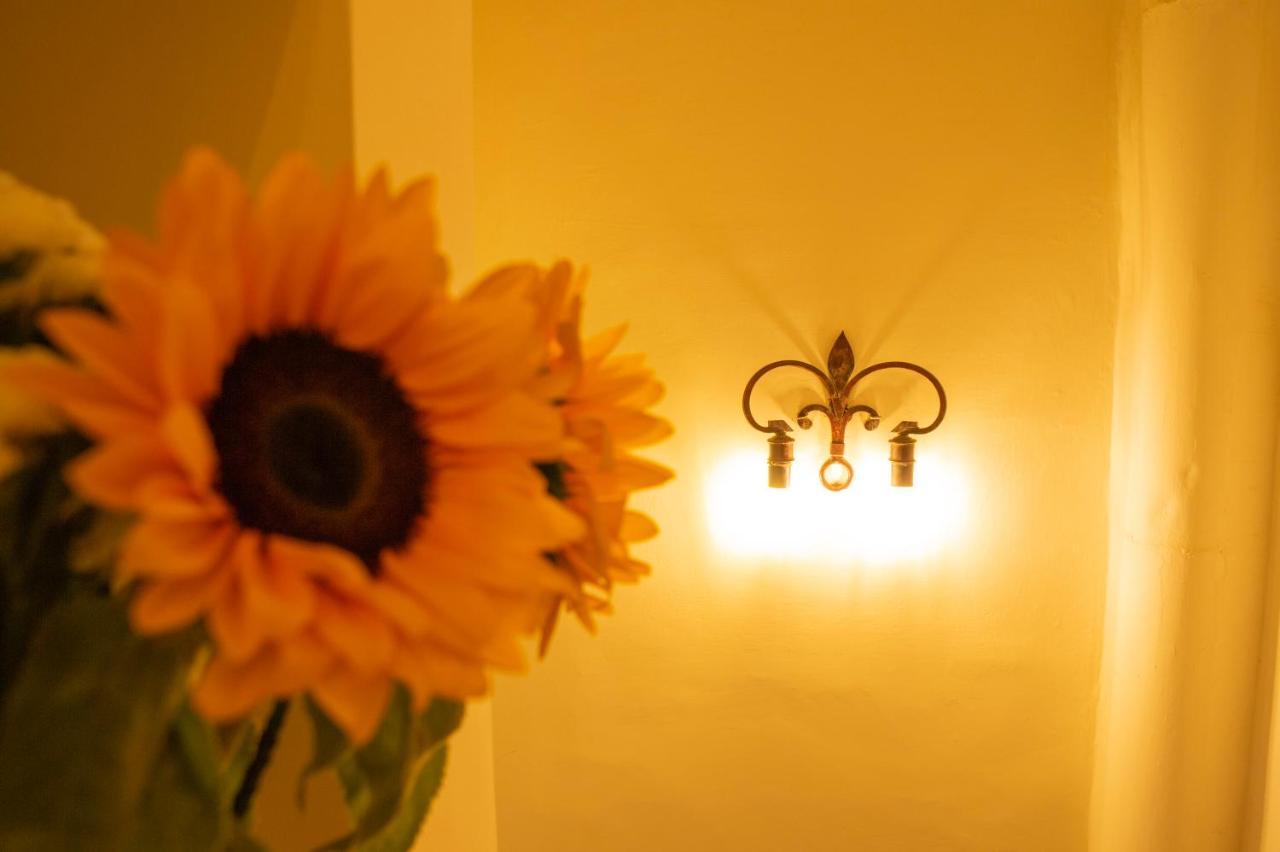Apartamento L'oziorinco